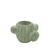 CARNAC/ヴィンテージカクタスA-GR グリーン/GR2620GR