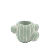 CARNAC/ヴィンテージカクタスA-MT ミント/GR2620MT