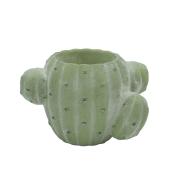 CARNAC/ヴィンテージカクタスB-GR グリーン/GR2621GR