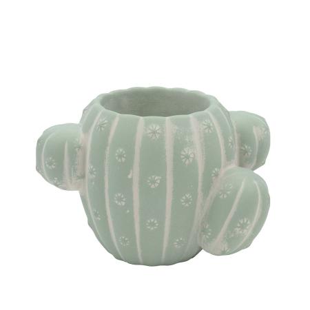 CARNAC/ヴィンテージカクタスB-MT ミント/GR2621MT