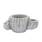 CARNAC/ヴィンテージカクタスC-WH ホワイト/GR2622WH