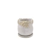 CARNAC/エルメハイドランジアS-GD ゴールド/SQ36GD