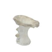 CARNAC/シャンタルシャンピニオンオブジェC/LC079