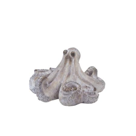 CARNAC/シャンタルオクトパスS/LC080