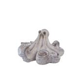 CARNAC/シャンタルオクトパスS/LC080