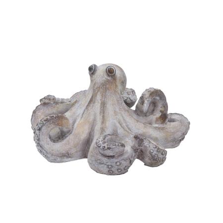 CARNAC/シャンタルオクトパスL/LC081