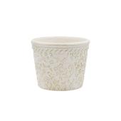 CARNAC/カノンフラワーベーシック3.5-WG ホワイト×ゴールド/CQ2603WG