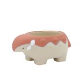 特価◎CARNAC/ダイナソーE-RD レッド/CP2605RD