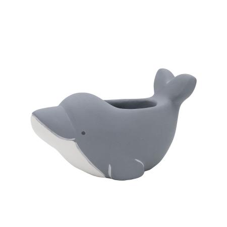 CARNAC/プランタンイルカGY グレー/CP2618GY