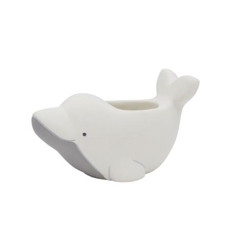 CARNAC/プランタンイルカWH ホワイト/CP2618WH