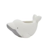 特価◎CARNAC/プランタンイルカWH ホワイト/CP2618WH