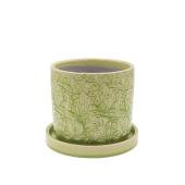 CARNAC/ラーゴムポットN-L-LG ライムグリーン/YS41