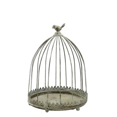 CARNAC/ジャンヌディスプレイケージD/YG42