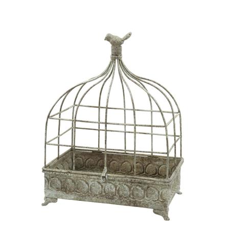 CARNAC/ジャンヌディスプレイケージF/YG45