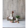 CARNAC/シャンタルベーシック01-L/LC003