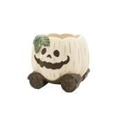 CARNAC/ハロウィンポット26B-L-WH ホワイト/CPHW71WH