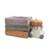 CARNAC/ハロウィンガーデンポット26-C-BK ブラック/GFBHW23BK