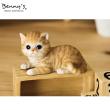 特価◎Benny’s/ベニーズキャット(カレンダー)/QY-245
