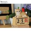 特価◎Benny’s/ベニーズキャット(カレンダー)/QY-245