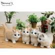 特価◎Benny’s/ベニーズキャット(マンチカン)/QB-010GR