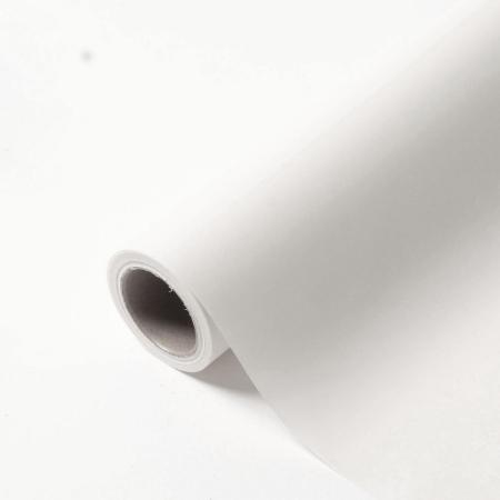 HOSHINO/パリ NO.70 ブラン 65x15/336450