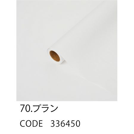 HOSHINO/パリ NO.70 ブラン 65x15/336450