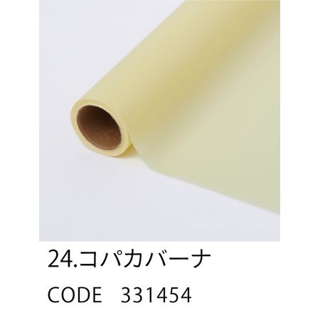 HOSHINO/レーズン NO.24 コパカバーナ 80x20/331454