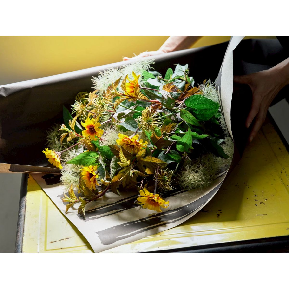 HOSHINO/UNE ウネ NO.01 アルバートル 80x15/81000001