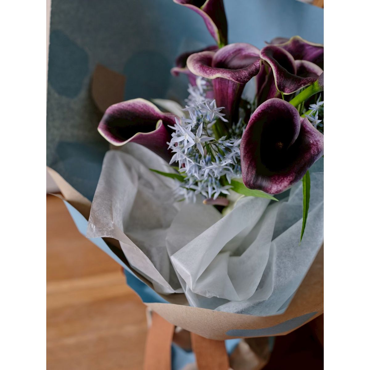 HOSHINO/TAMA タマ NO.03 クレムー 80x15/81000303