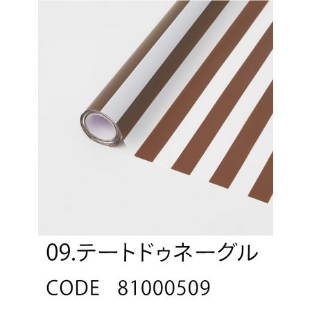 HOSHINO/STRIPE ストライプ NO.09 テートドゥネーグル 65x15/81000509