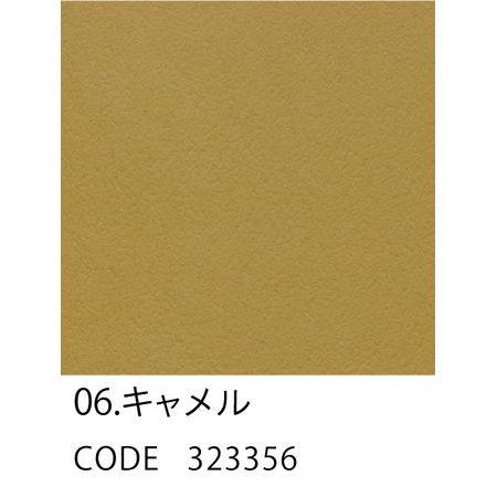 HOSHINO/プレーンカードL(50入)NO.6 キャメル 130x270/323356