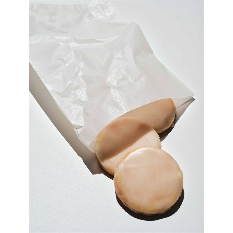 HOSHINO/フラットバッグ16号(10枚入) ジューン NO.01/314621