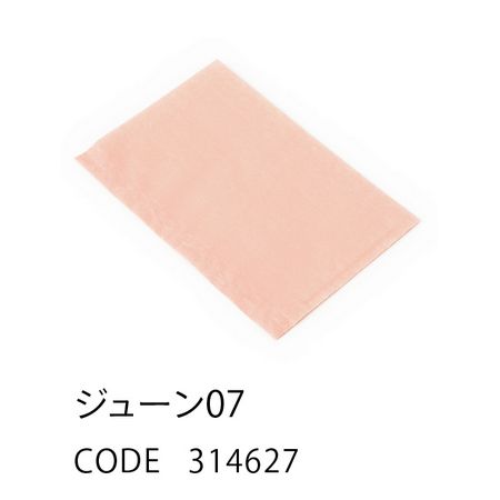 HOSHINO/フラットバッグ16号(10枚入) ジューン NO.07/314627