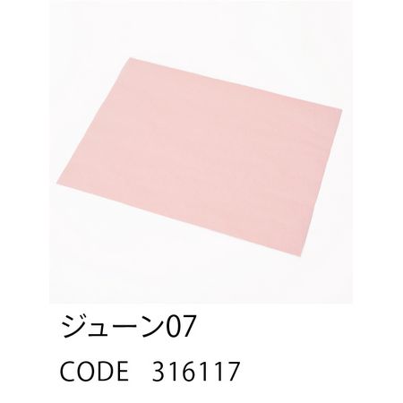 HOSHINO/FLAT PAPER 4560(10枚入) ジューン NO.07/316117