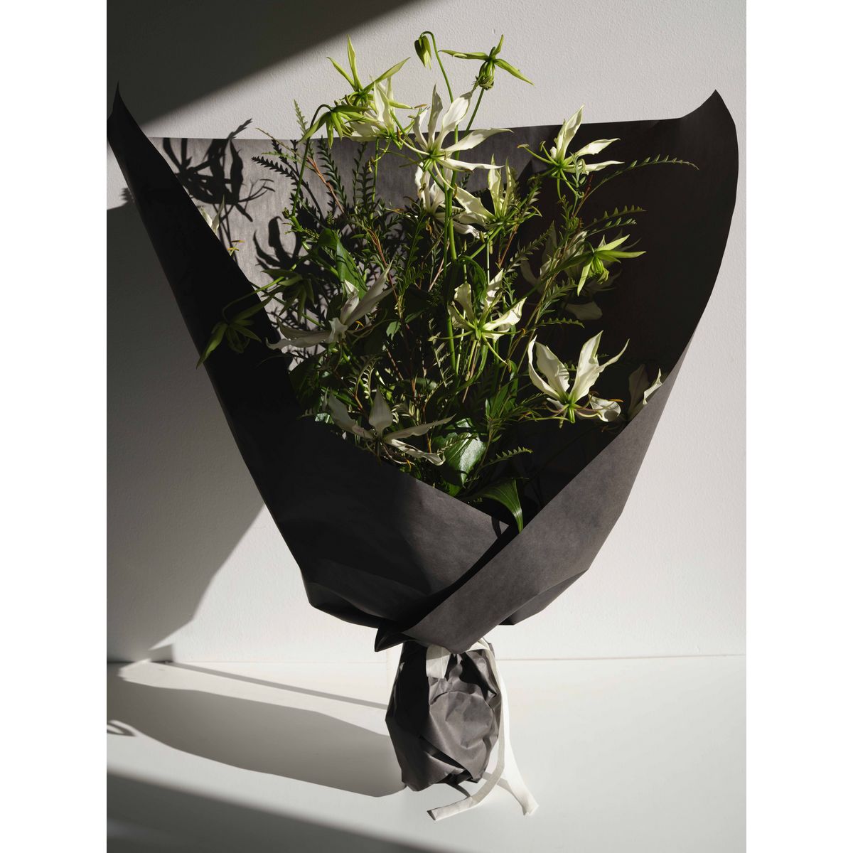 HOSHINO/EMBALLER アンバレ 02 ブランカーセ 80x15/81000602