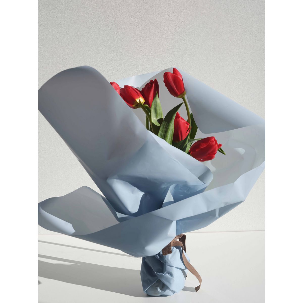 HOSHINO/FROSTY フロスティ 02 マーブルヘッドゴールド 65x15/81000702