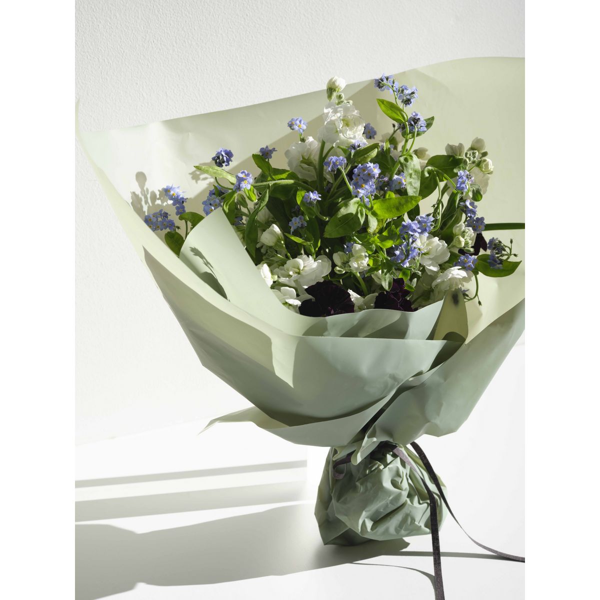 HOSHINO/FROSTY フロスティ 04 モカクリーム 65x15/81000704