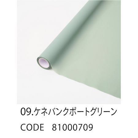 HOSHINO/FROSTY フロスティ 09 ケネバンクポートグリーン 65x15/81000709