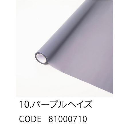 HOSHINO/FROSTY フロスティ 10 パープルヘイズ 65x15/81000710