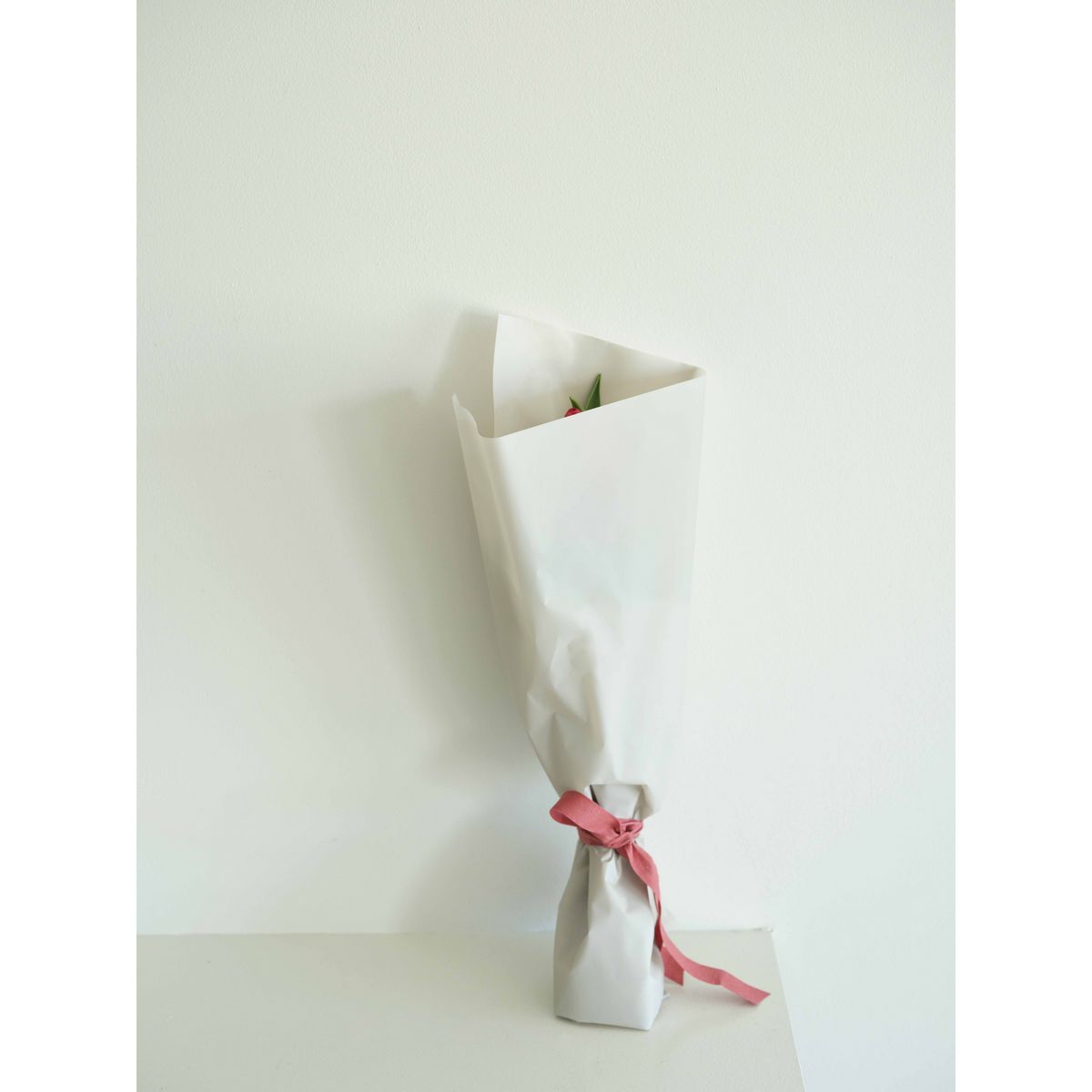 HOSHINO/FROSTY フロスティ 11 ミンク 65x15/81000711