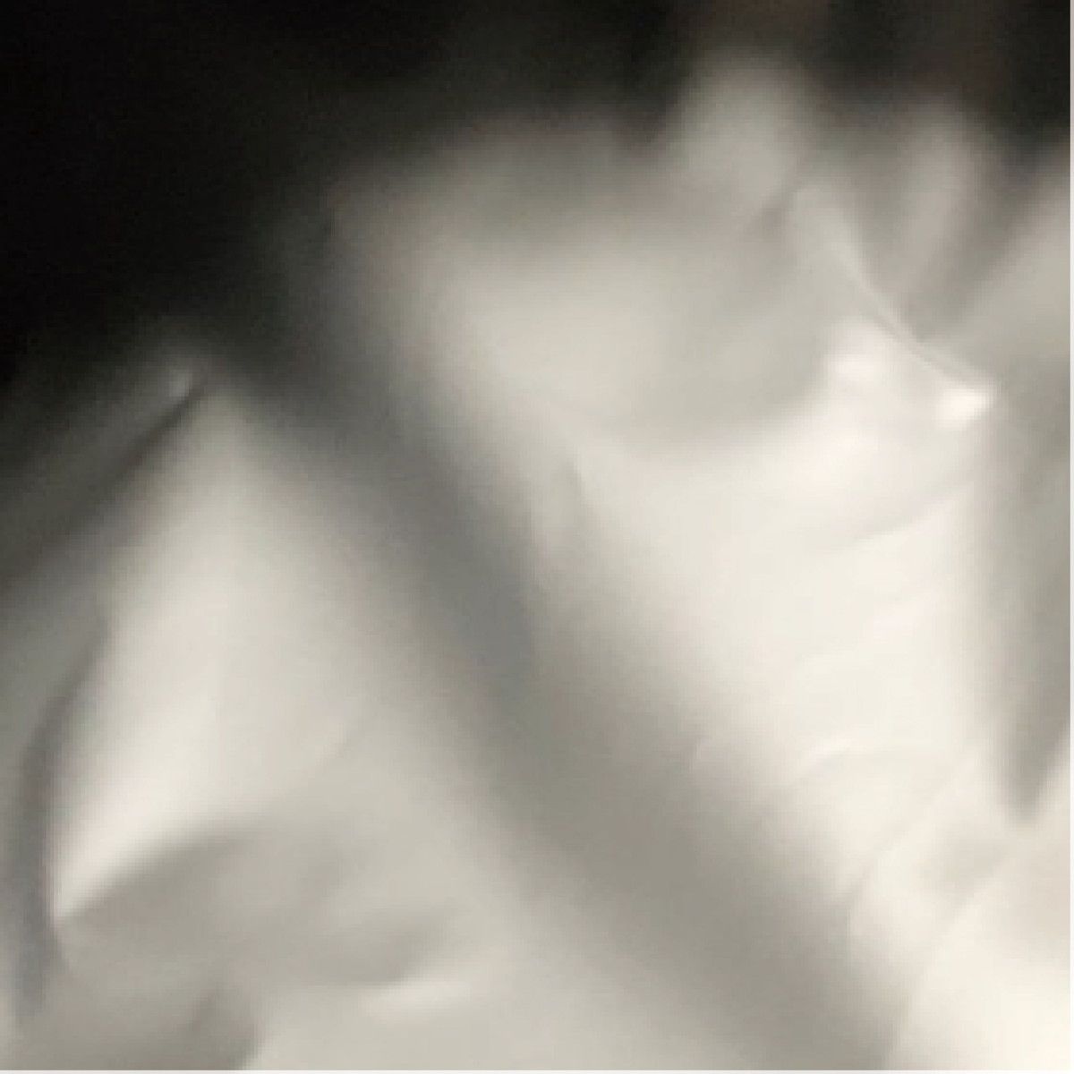 丸和貿易/オーディナリー ランチバッグ ミストパープル/4009673-03