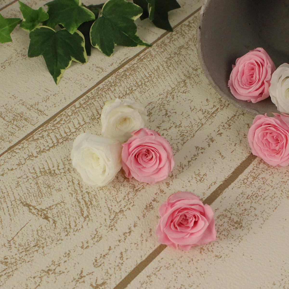 即日 プリザーブド Kiara ローズカラーアソートs 8輪 ブライダルピンク ピュアホワイト Pg001 60 通販 はなどんやアソシエ 即日 プリザーブド Kiara ローズカラーアソートs 8輪 ブライダルピンク ピュアホワイト Pg001 60 通販 はなどんやアソシエ