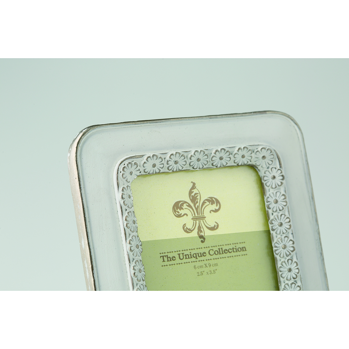 LIFE FRAMING/PFMN RE-IB/155218
