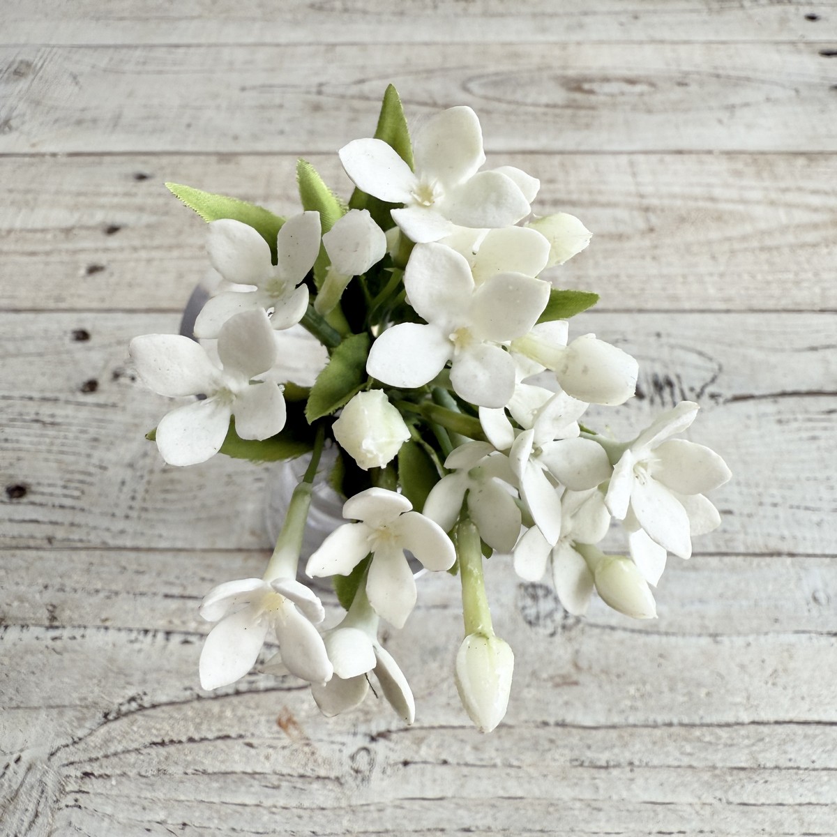 アウトレット◎即日★【造花】ボブクラフト/ブバリアの束/17003W