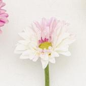 造花】ボブクラフト/22002DP ガーベラ DP - 花材通販はなどんやアソシエ