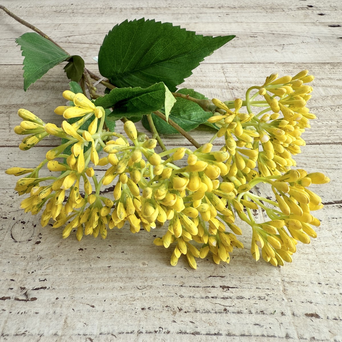 【造花】ボブクラフト/23010Y カランコエ Y