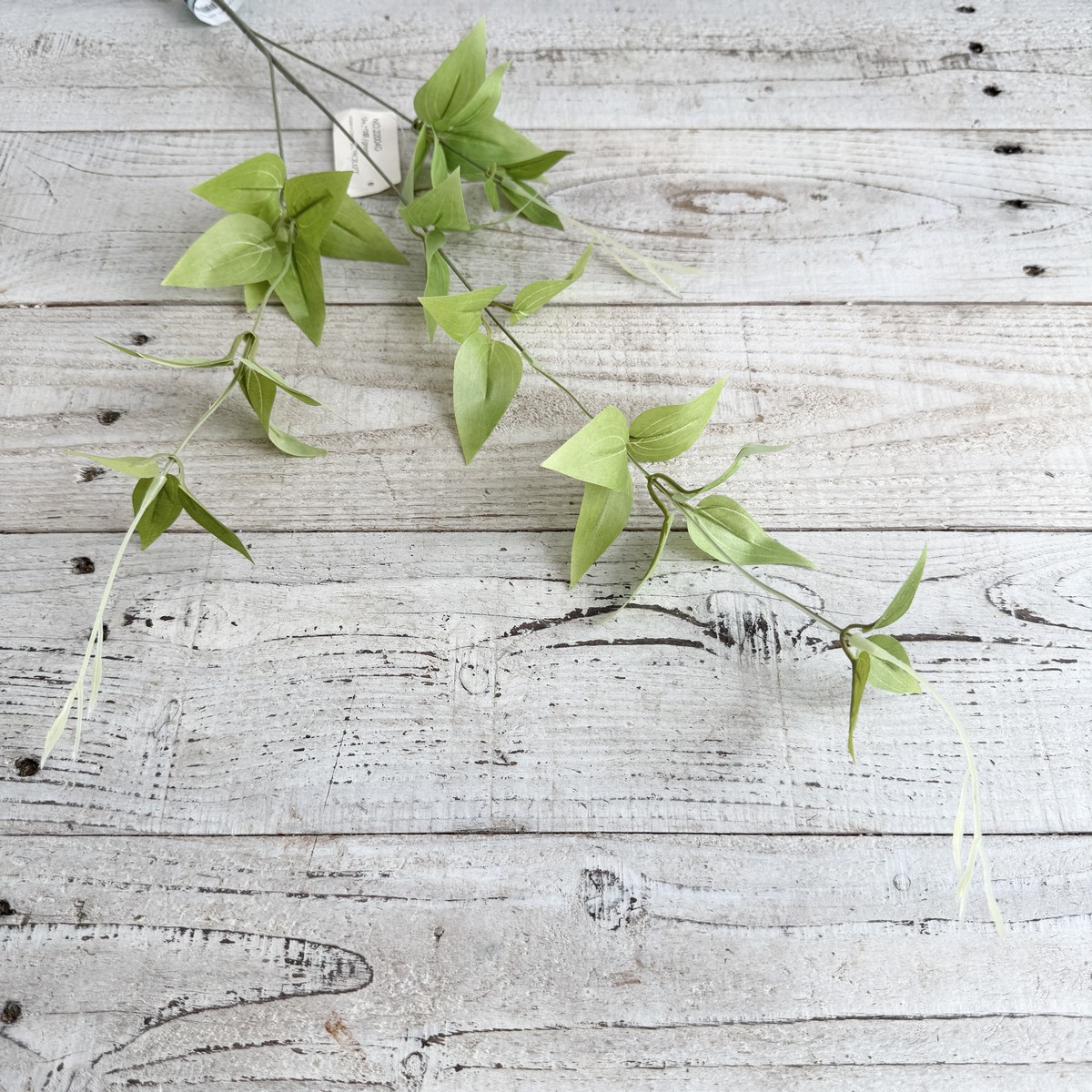 即日★【造花】ボブクラフト/22004G リキュウ草 G