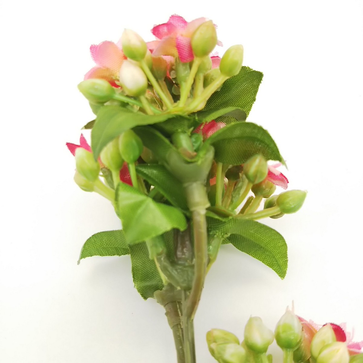 特価 即日 造花 パレ カランコエピック ピンク P 06 33 通販 はなどんやアソシエ 特価 即日 造花 パレ カランコエピック ピンク P 06 33 通販 はなどんやアソシエ