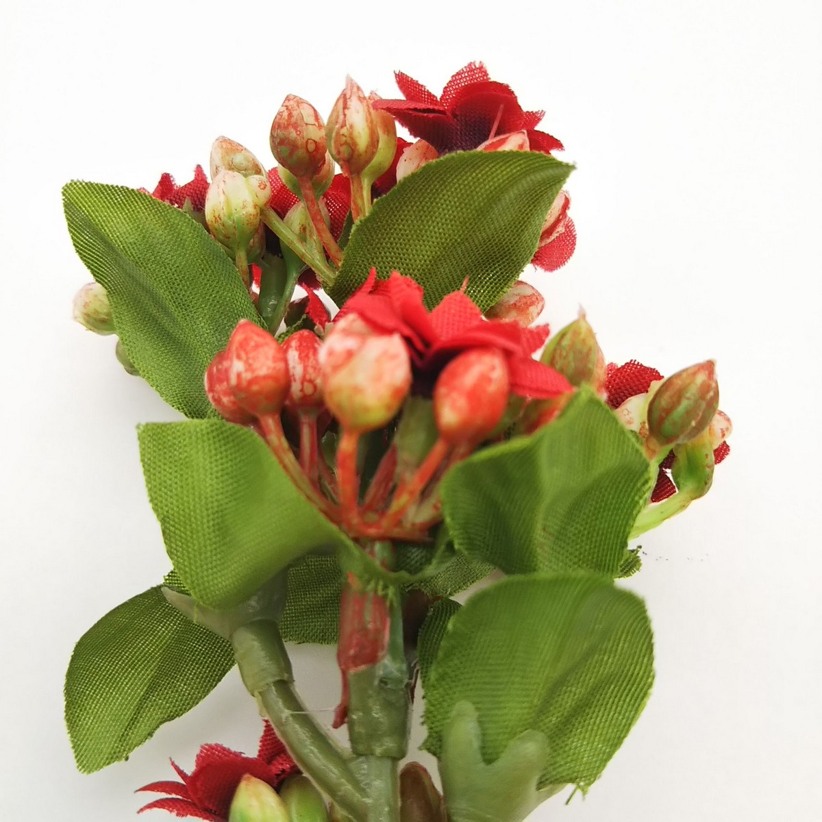 歳末特価 即日 造花 パレ カランコエピック レッド P 06 50 通販 はなどんやアソシエ 歳末特価 即日 造花 パレ カランコエピック レッド P 06 50 通販 はなどんやアソシエ