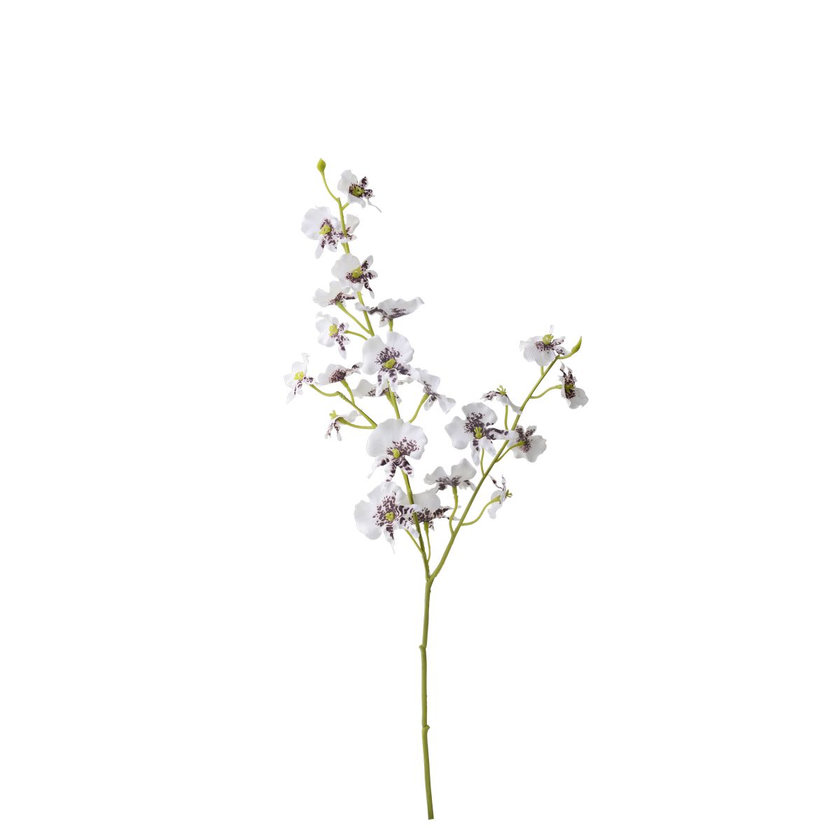 特価◎【造花】パレ/オンシジューム ホワイト/P-9850-10